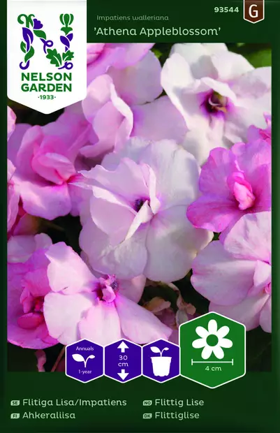 AHKERALIISA ATHENA APPLEBLOSSOM F1 - Muut kesäkukkien siemenet - 7312600935440 - 1