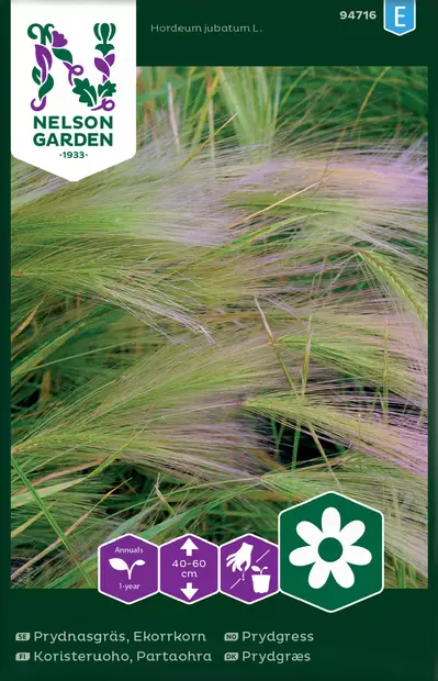 KORISTERUOHO PARTAOHRA - Muut kesäkukkien siemenet - 7312600947160 - 2