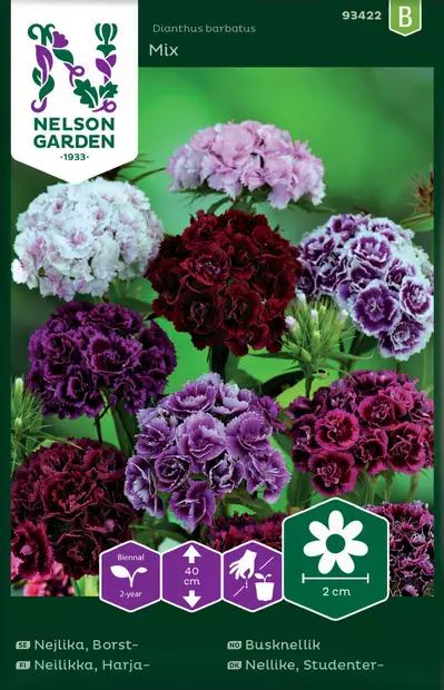 HARJANEILIKKA MIXED DOUBLE, SEOS - Perennojen siemenet - 7312600934221 - 1