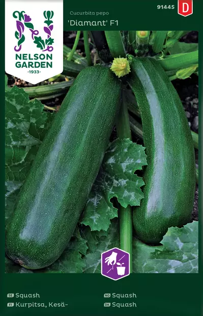 KESÄKURPITSA ZUCCHINI / DIAMANT F1 - Kurpitsan siemenet - 7312600914452 - 2