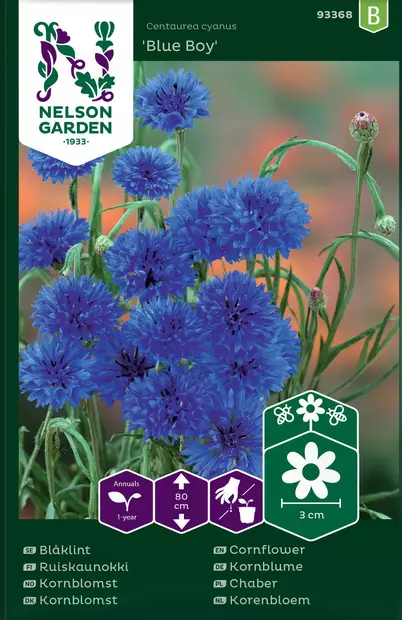 RUISKAUNOKKI BLUE BOY - Muut kesäkukkien siemenet - 7312600933682 - 2