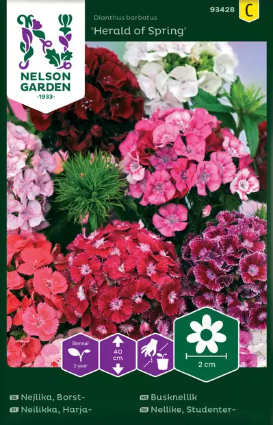 HARJANEILIKKA HERALD OF SPRING, SEOS - Perennojen siemenet - 7312600934283 - 1