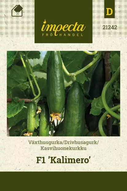 KASVIHUONEKURKKU KALIMERO - Kurkun siemenet - 7332756212424 - 1
