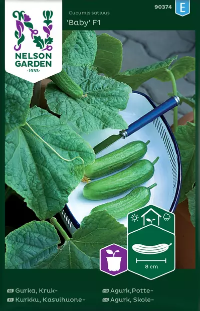 KASVIHUONEKURKKU BABY F1 - Kurkun siemenet - 7312600903746 - 2