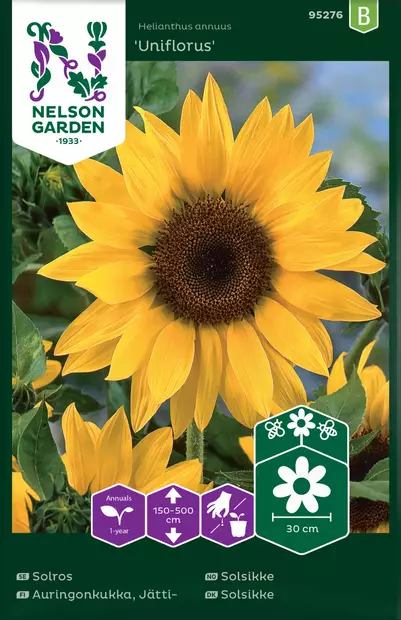 JÄTTIAURINGONKUKKA UNIFLORUS - Auringonkukan siemenet - 7312600952768 - 2