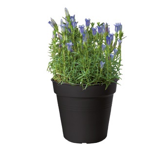 GREEN BASICS RUUKKU 21 CM MUSTA - Muoviruukut - 8711904106669 - 2